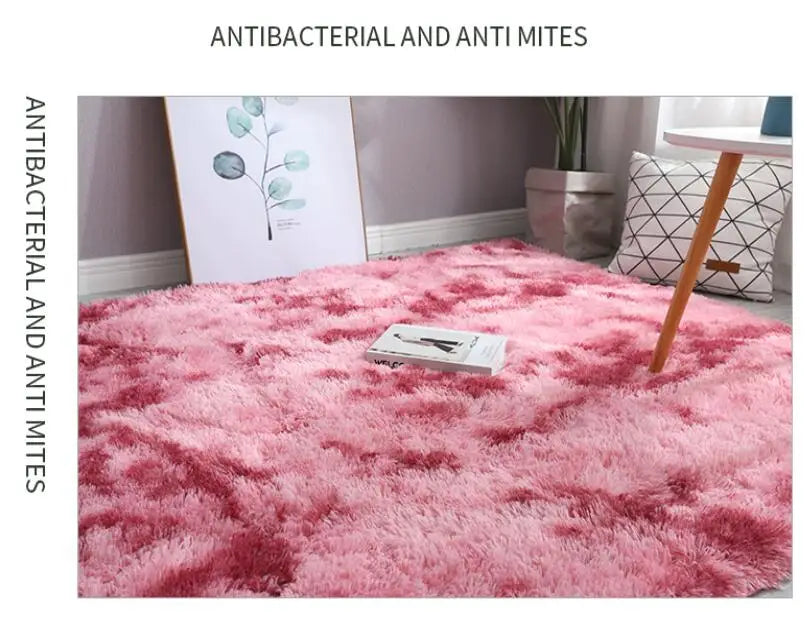 Bedroom Anti-slip Floor Water Absorption Carpet Rugs in USA.