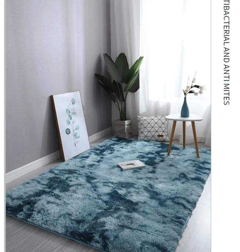 Bedroom Anti-slip Floor Water Absorption Carpet Rugs in USA.