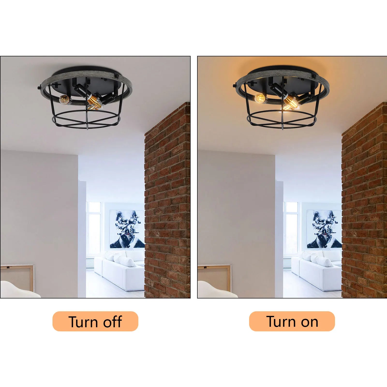 Industrial Black Metal Cage Round Lights Semi Flush Mount IN USA.