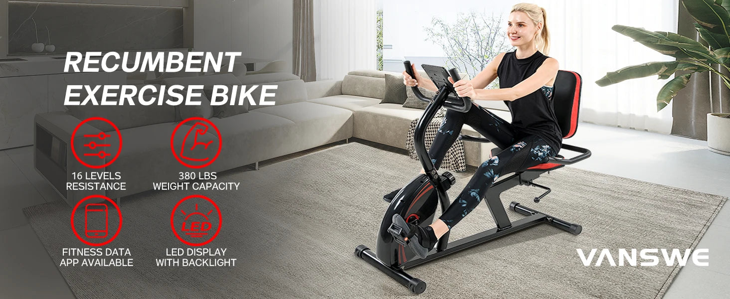 Recumbent Exercise Bike Adults Seniors Recumbent Bikes Home in USA