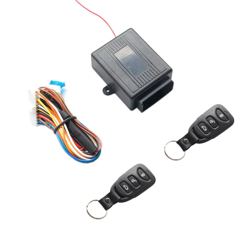 Car remote access system remote unlocking locking in USA