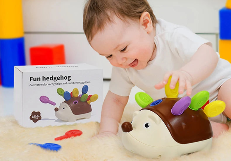 Hedgehog Montessori Educational Toy Fine Motor Toys Toddlers in USA