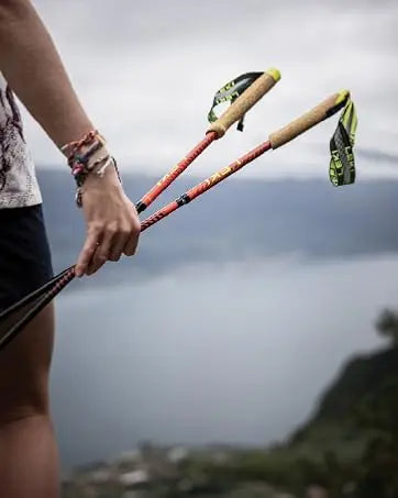 Collapsible Lightweight Walking Poles Trekking Hiking in USA