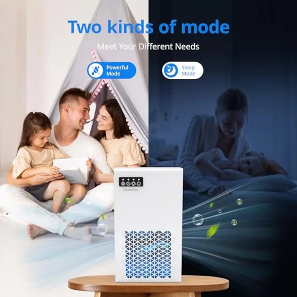 Home Dehumidifier Dual-Semiconductor Technology IN USA.