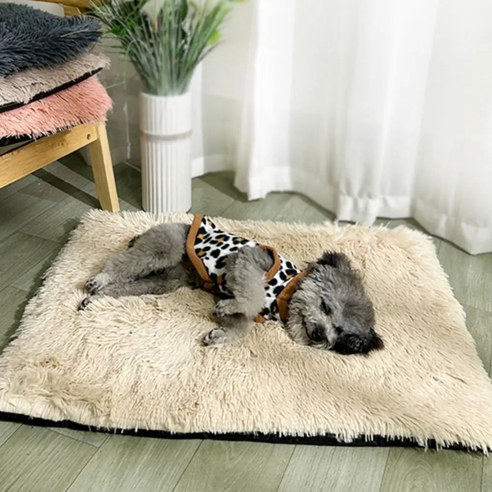 Waterproof Warm Dog Blanket Comfortable Velvet in USA.