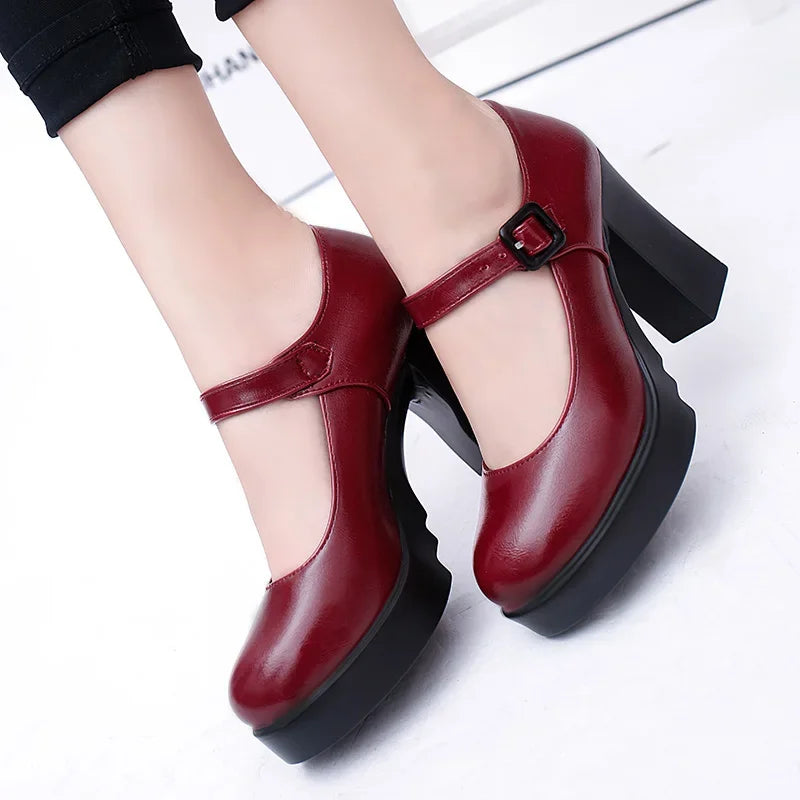 Women Court shoes