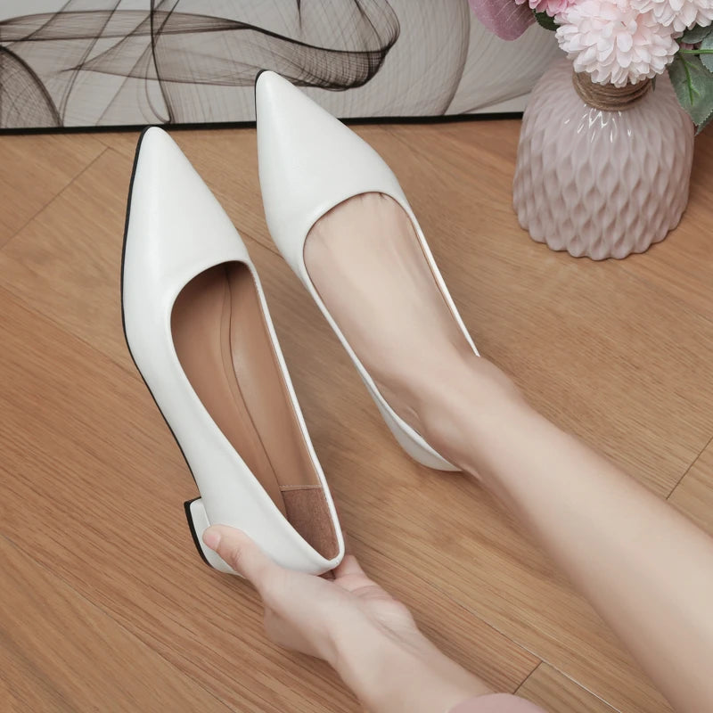 New Pointed Toe Shallow Mouth Square Heel Small Leather Shoes in USA