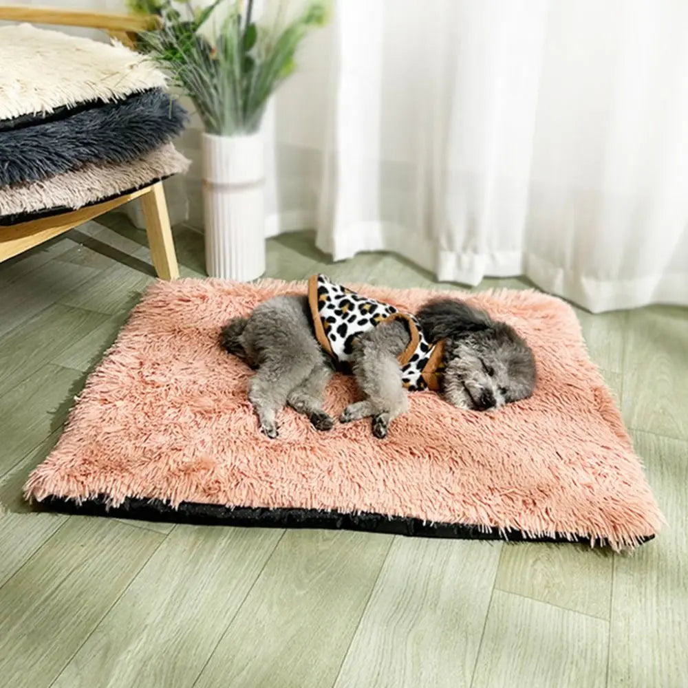 Waterproof Warm Dog Blanket Comfortable Velvet in USA.