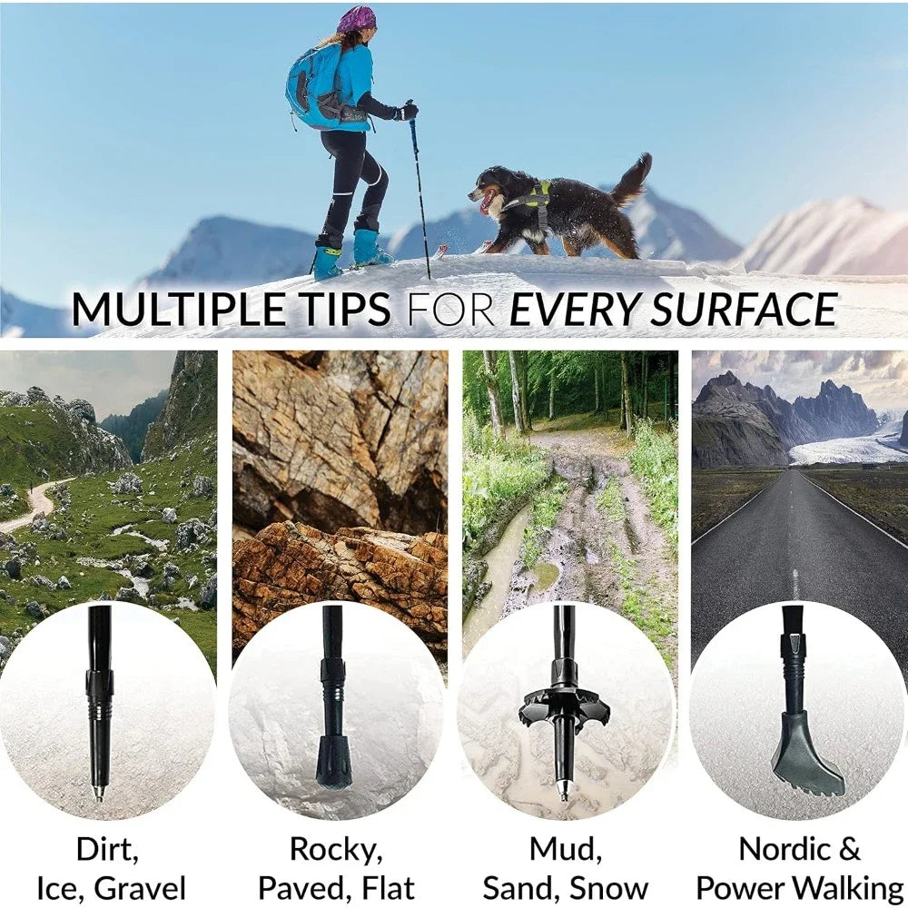 Folding Walking Sticks Lightweight Collapsible Hiking Poles in USA