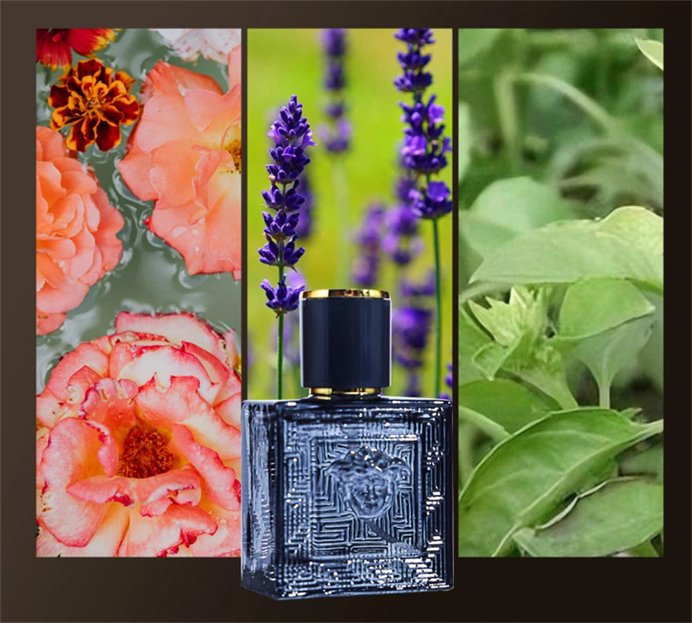 Colognes Lasting Fragrance Attracting Women in USA