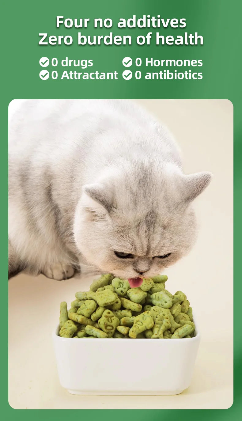 Pet Cats Mint Biscuits Cat Teeth Grinding Snacks Tooth in USA